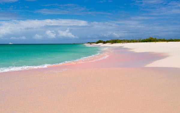 Pink Sand Beach, Barbuda