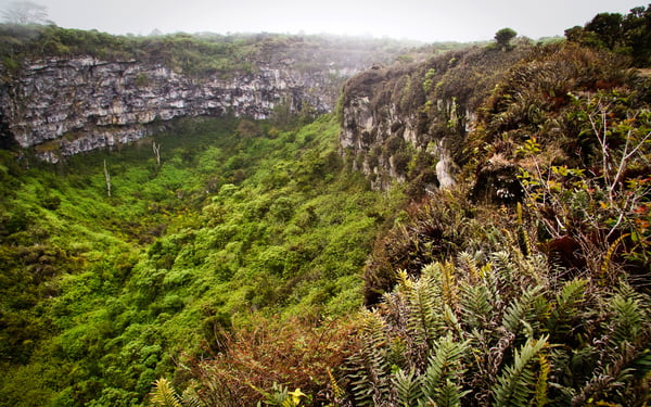 Los Gemelos on Santa Cruz, Galapagos