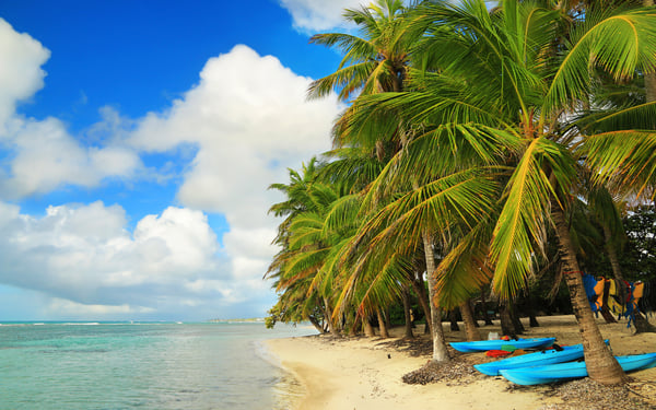 Beach in Guadeloupe