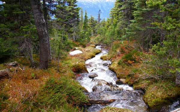Dewey Lakes Trail, Skagway
