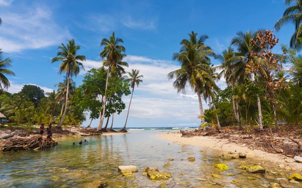 Beach on Cenderawasih Bay, Indonesia