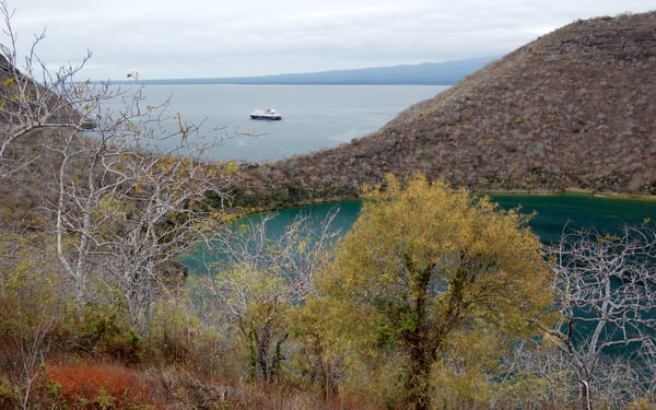 Caleta Tagus, Isabela, Galapagos