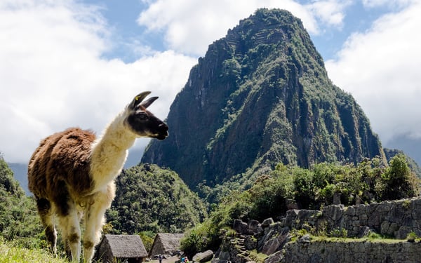 See Machu Picchu in South america one of or top picks for 2026 cruises
