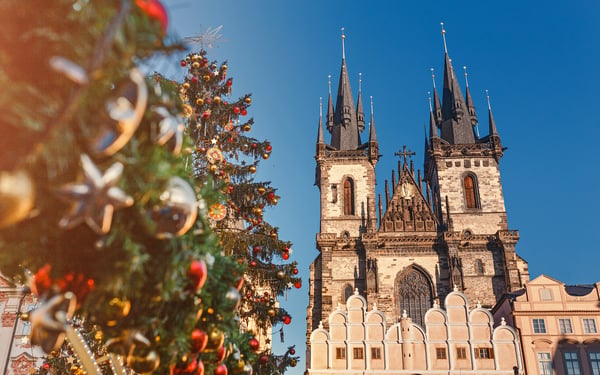 Christmas Tree in Prague, Czech Republic