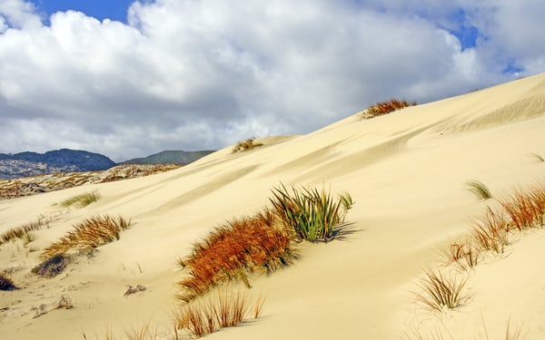 Sand dunes on Stewart Island, New Zealand
