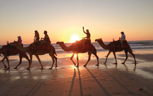 Camel train on Cable Beach, Broome