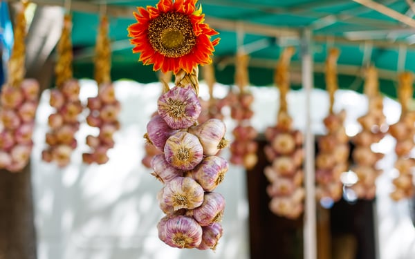 Garlic hanging up in Arles, France