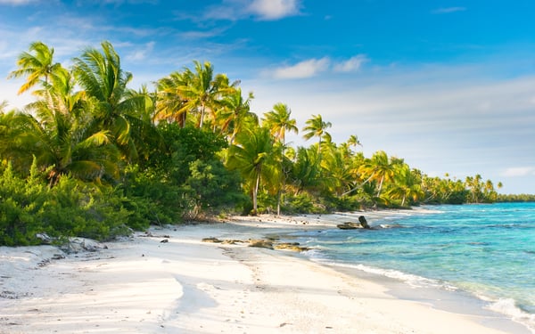 Beach in the Fakarava atoll, French Polynesia