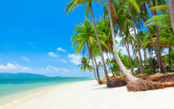 Beach on Koh Samui, Thailand