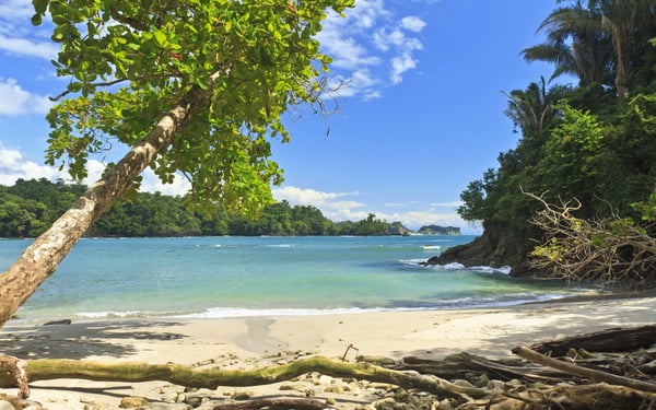 Beach in Manuel Antonio National Park, Costa Rica