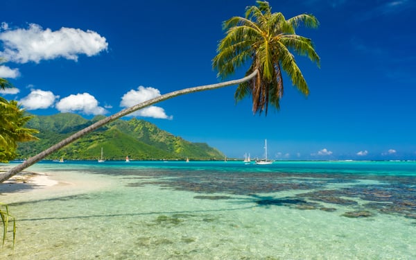 Beach in Moorea, French Polynesia