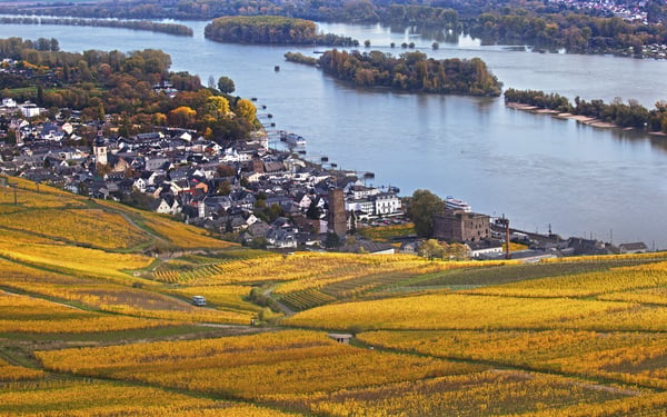 Rudesheim, Rhine Valley, Germany