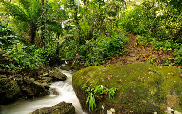 Waterfall in the Darien Jungle, Panama