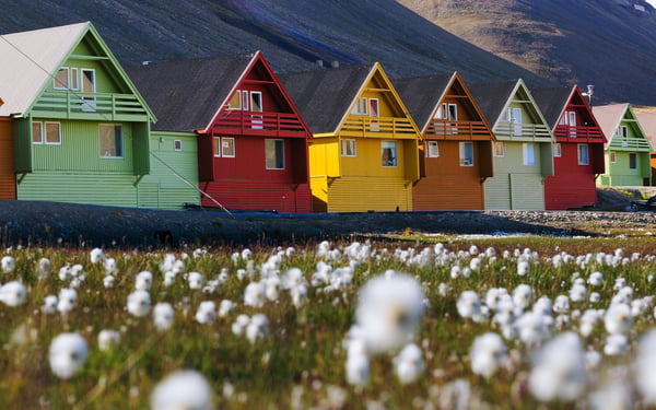 Flowers and colourful houses in Longyearbyen