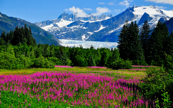 Mendenhall Glacier, near Juneau, Alaska