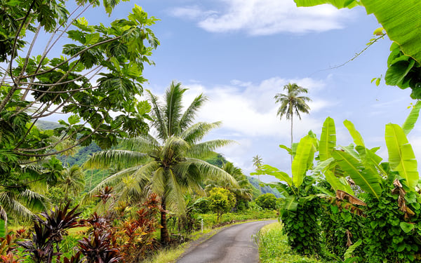 Tahiti island interior