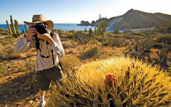 Expedition cruiser with camera, a key part of your Sea of Cortez packing list