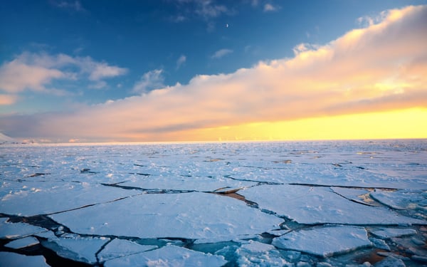 Pack ice in the Arctic