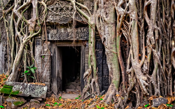 Overgrown doorway at Ta Prohm, Angkor