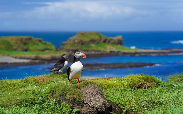 Lunga in Scotland is a popular British Isles cruise port