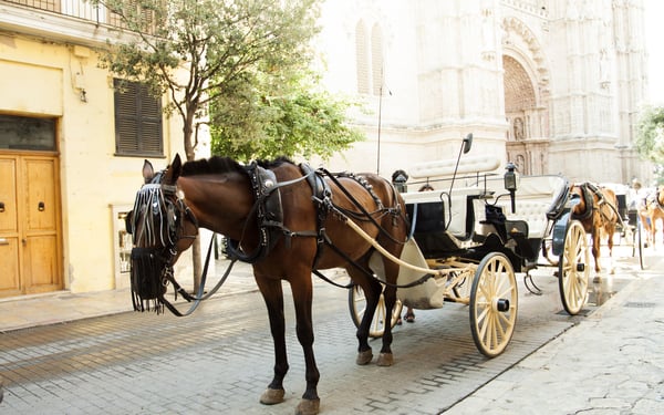Horse-drawn cart in Palma de Mallorca