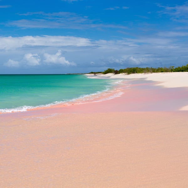 Pink Sand Beach, Barbuda