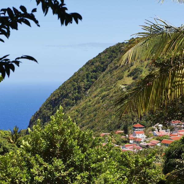 Saba