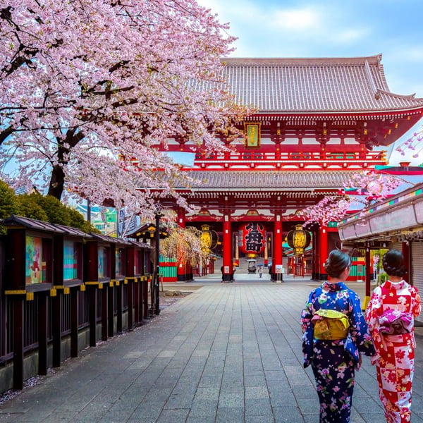 geishas at sensoji temple in tokyo