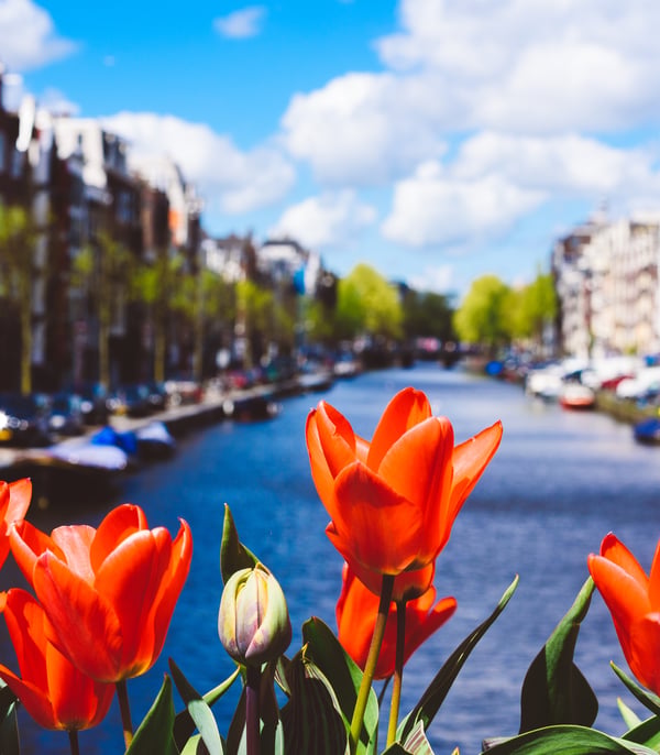 River Cruising Uncovered 5th Edition