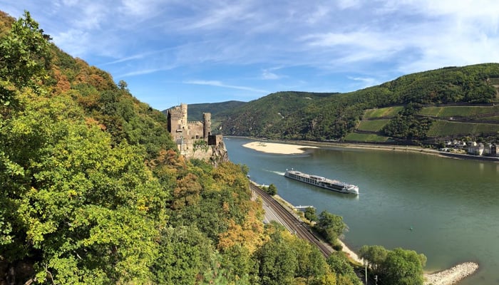 Riverside Cruises on the Rhine