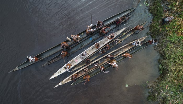 Canoes in Yepem village, Asmat region, Indonesia