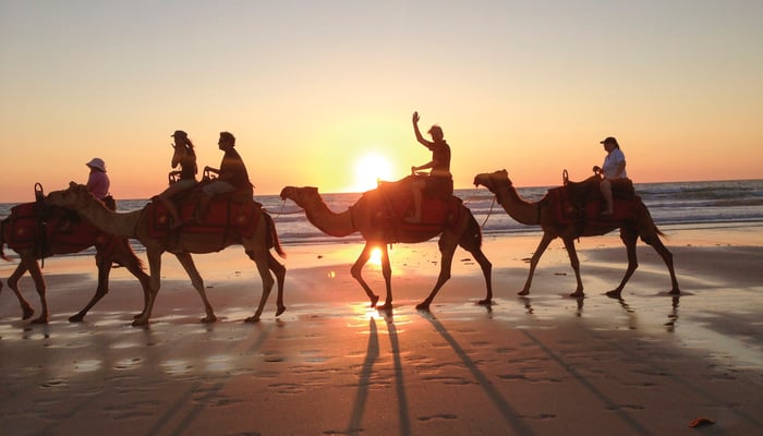 Camel train on Cable Beach, Broome