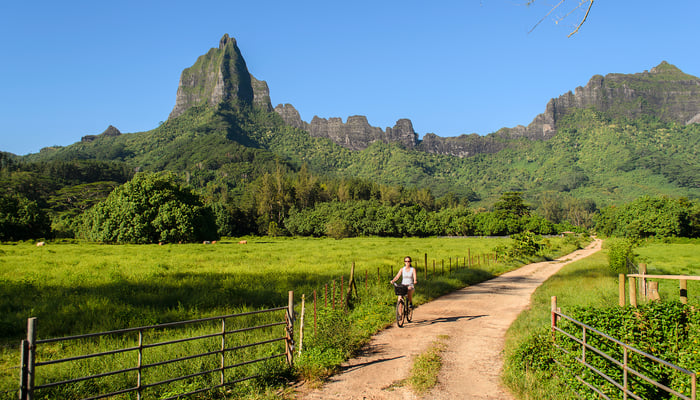 Rotui Mountain on Mo'orea, French Polynesia