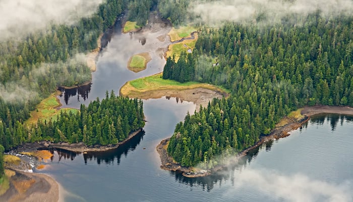 Aerial view of Misty Fjords, Alaska