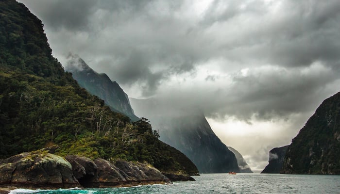 New Zealand expedition cruise in Milford Sound