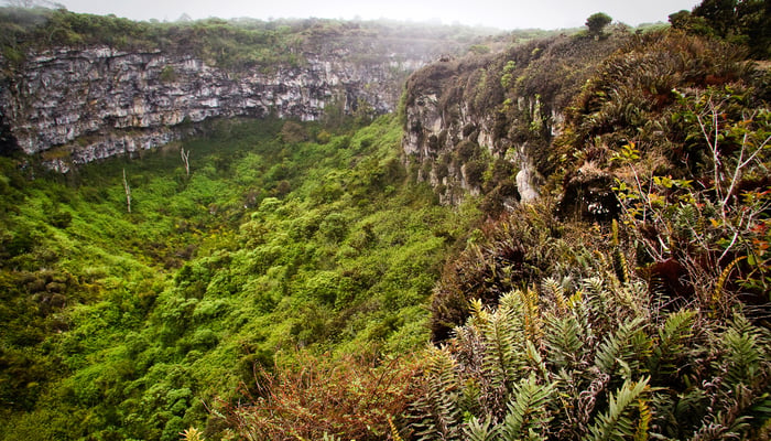 Los Gemelos on Santa Cruz, Galapagos