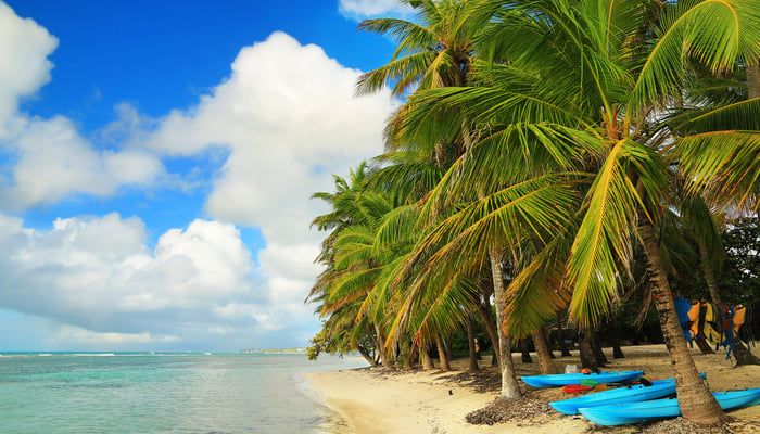 Beach in Guadeloupe
