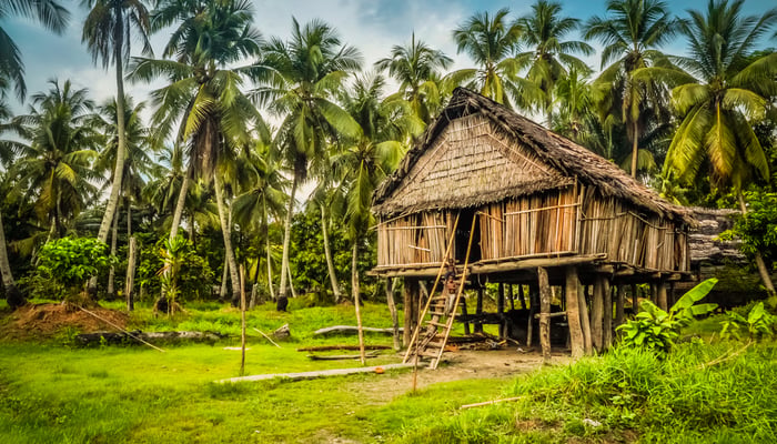 Traditional house in Palembe, Sepik river, Papua New Guinea