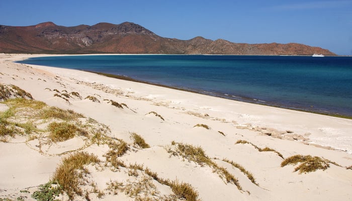 Beach on Isla Espiritu Santo, Mexico