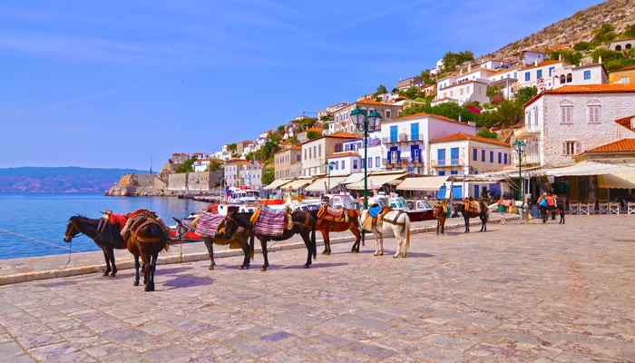 Donkeys in Hydra, Greece