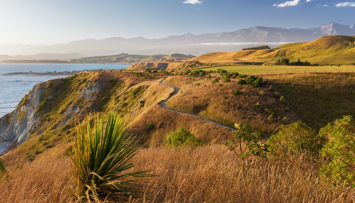Kaikoura Peninsula, New Zealand