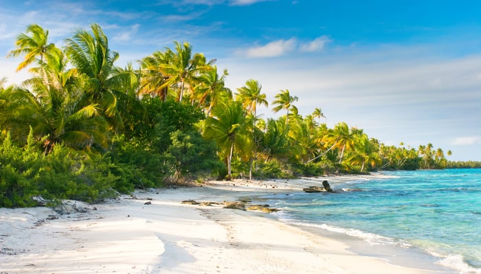 Beach in the Fakarava atoll, French Polynesia