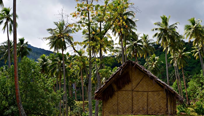 Traditional house on Pentecost Island, Vanuatu