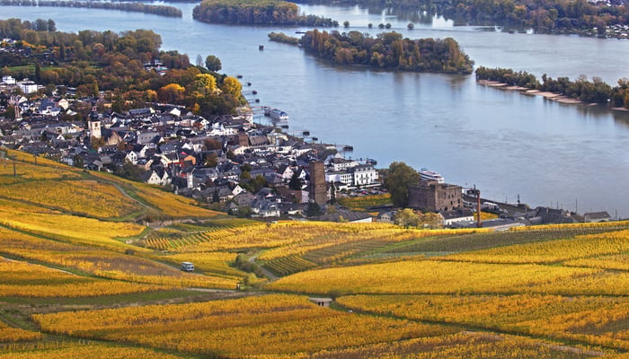 Rudesheim, Rhine Valley, Germany