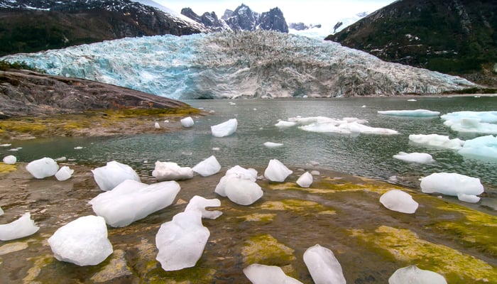 Pia Glacier, Chile