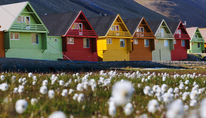 Flowers and colourful houses in Longyearbyen