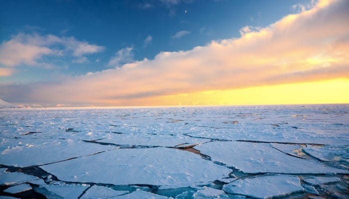 Pack ice in the Arctic