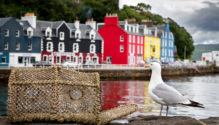Tobermory, Isle of Mull, Scotland
