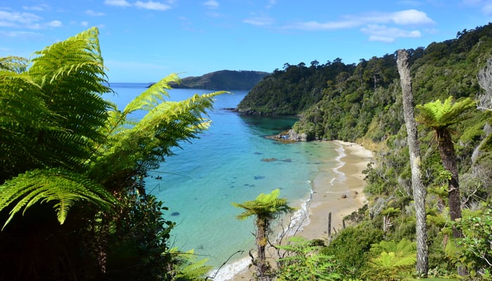 Stewart Island, New Zealand