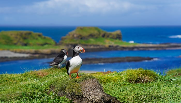 Lunga in Scotland is a popular British Isles cruise port